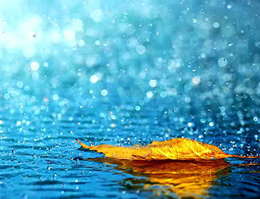 Rain