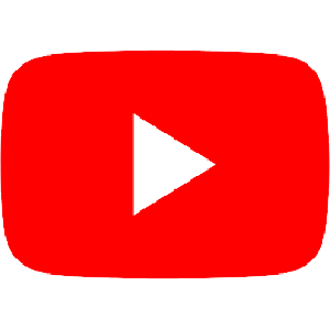 PDF Icon