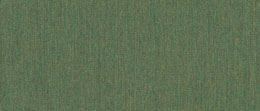 Sunbrella® Fern 4671