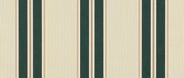 Sunbrella® Black Forest Fancy  4923