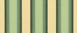 Sunbrella® Colonnade Juniper  4856