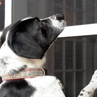 PetScreen Installation